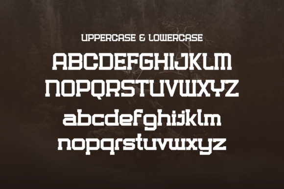 Bodems Font - Preview 1
