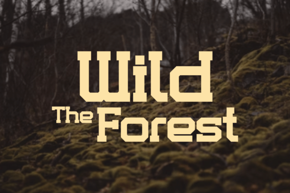 Bodems Font - Preview 3