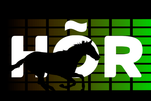Equines Font - Preview 4