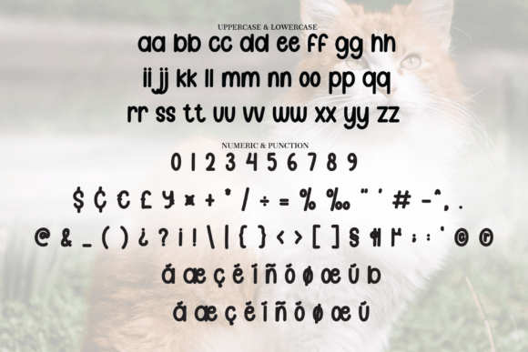 Fluffy Cat Font - Preview 5