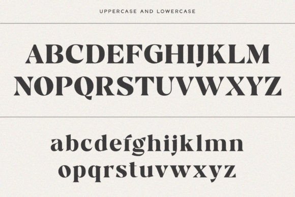 'bergavick' Font - Preview 4