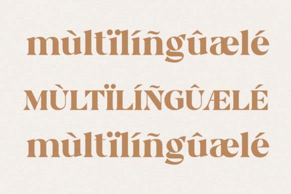'bergavick' Font - Preview 5