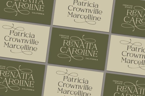 Daisy & Violette - Stylish Modern Serif Font - Preview 3