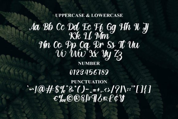 Elegant Font - Preview 4