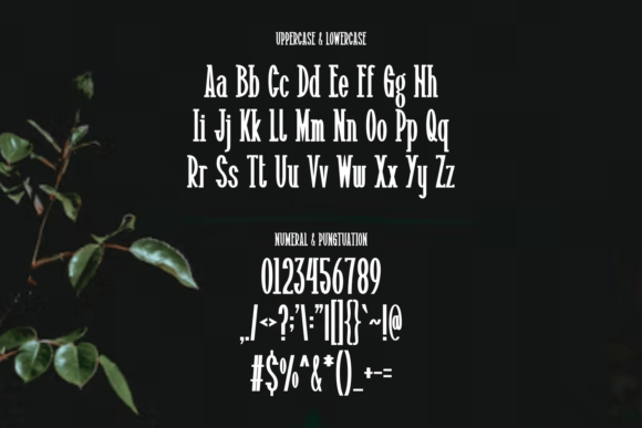 Haidrus Font - Preview 1