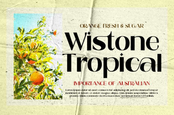 Rengita Font PNG with transparent background - Preview 4