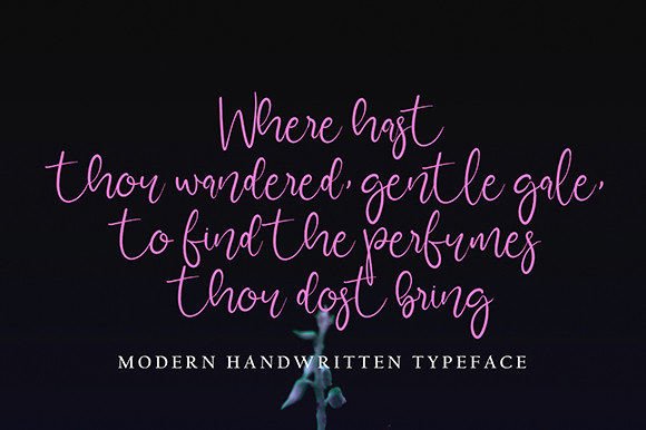 Glamore Boutique Font PNG with transparent background - Preview 1