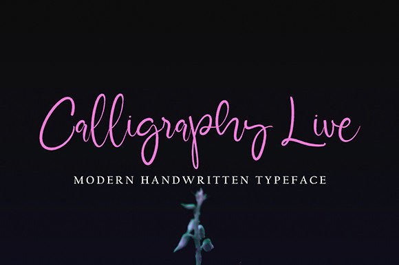 Glamore Boutique Font PNG with transparent background - Preview 3