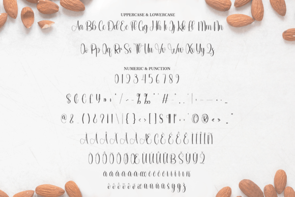 Almonde Font - Preview 6
