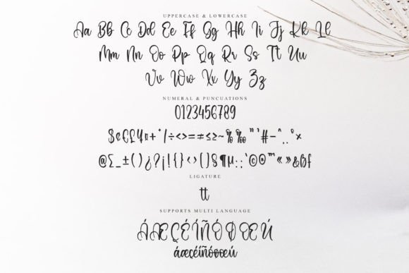Always Font - Preview 5