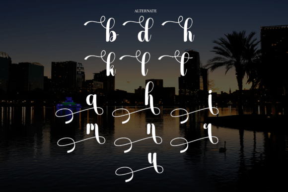 Florida Font - Preview 6
