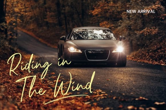 Riccardy Signature Font PNG with transparent background - Preview 2