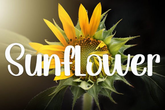 Scented Font PNG with transparent background - Preview 2