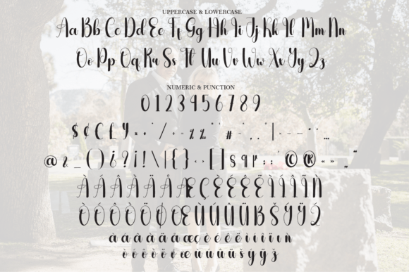 Bigotry Font - Preview 6
