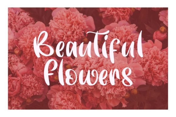 Fresh Rose Font - Preview 2