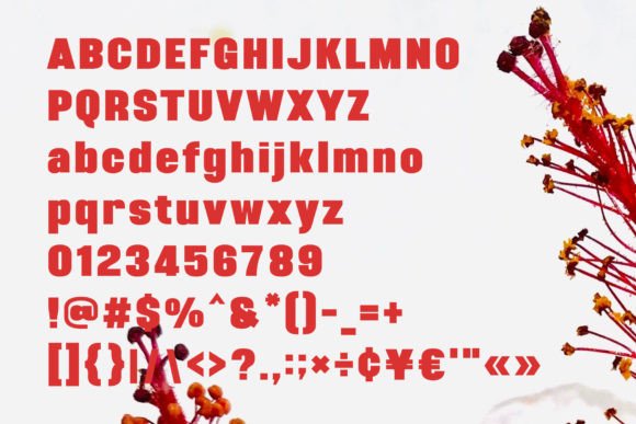 Miland Font PNG with transparent background - Preview 4