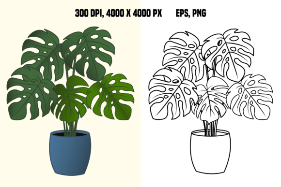 Monstera in a Flower Pot for Coloring Grafik Von YuliDor  Creative Fabrica