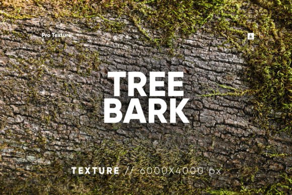 30 Tree Bark Textures HQ