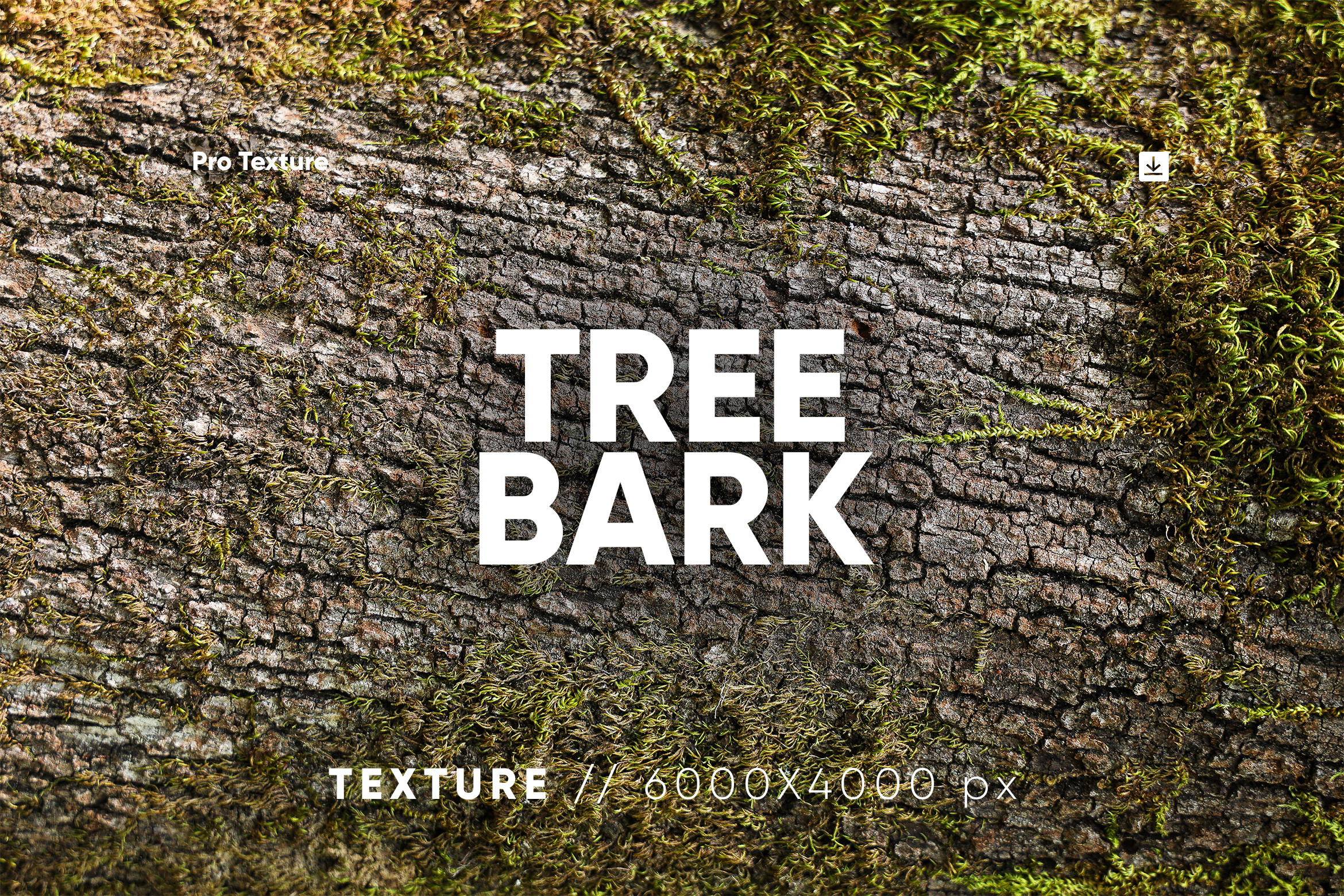 30 Tree Bark Textures HQ
