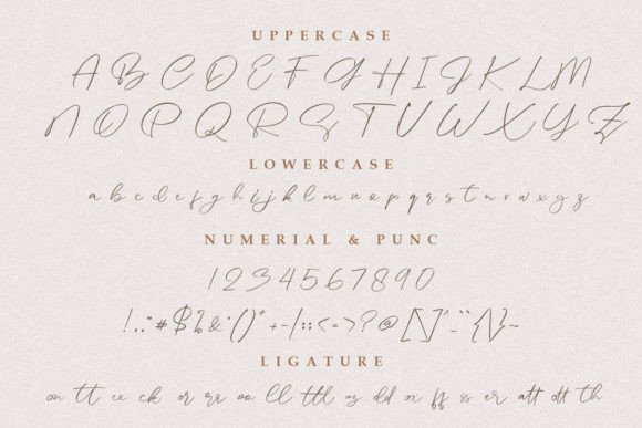 Astoria Font - Preview 5