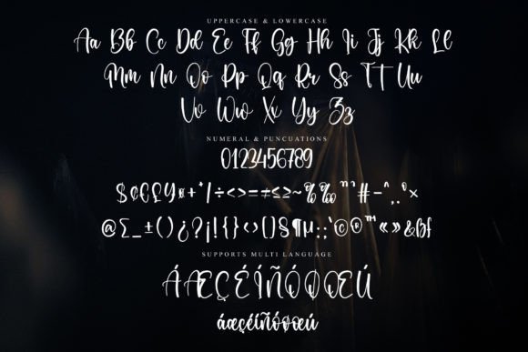 Basting Font - Preview 5
