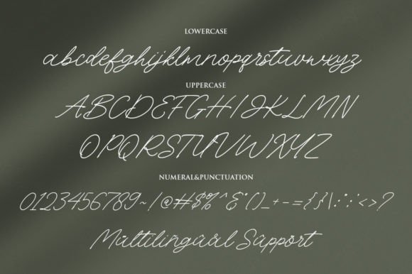 Belistha Font - Preview 6