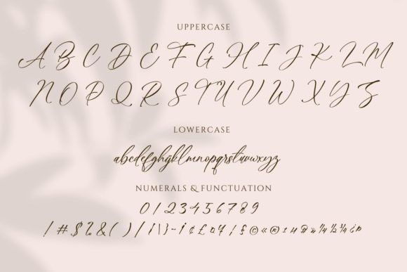 Brenda Harmony Font - Preview 6