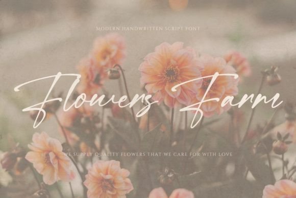 California Party Font - Preview 5