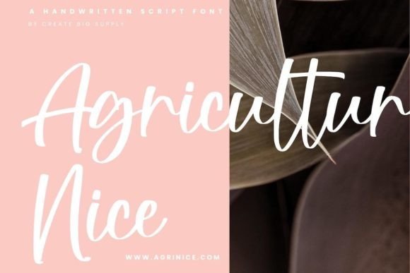 Fellicia Grace Font - Preview 4
