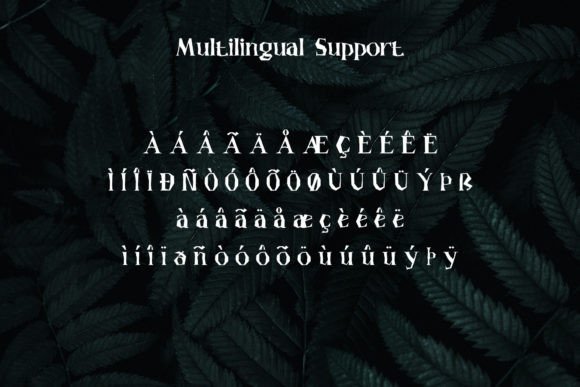 Hauntress Font - Preview 5