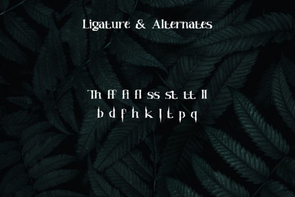 Hauntress Font - Preview 6