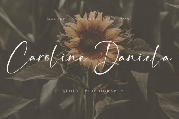 Maestro Brilliant Font PNG with transparent background - Preview 2
