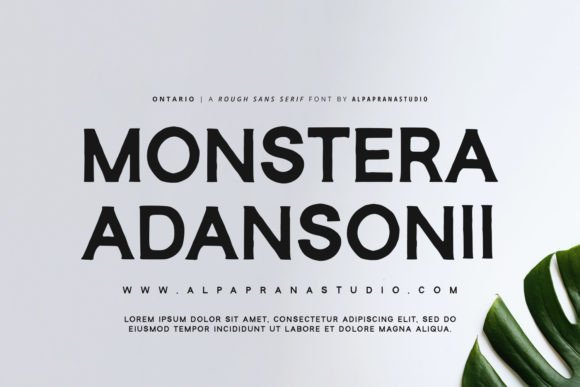 Ontario Font font preview - 2
