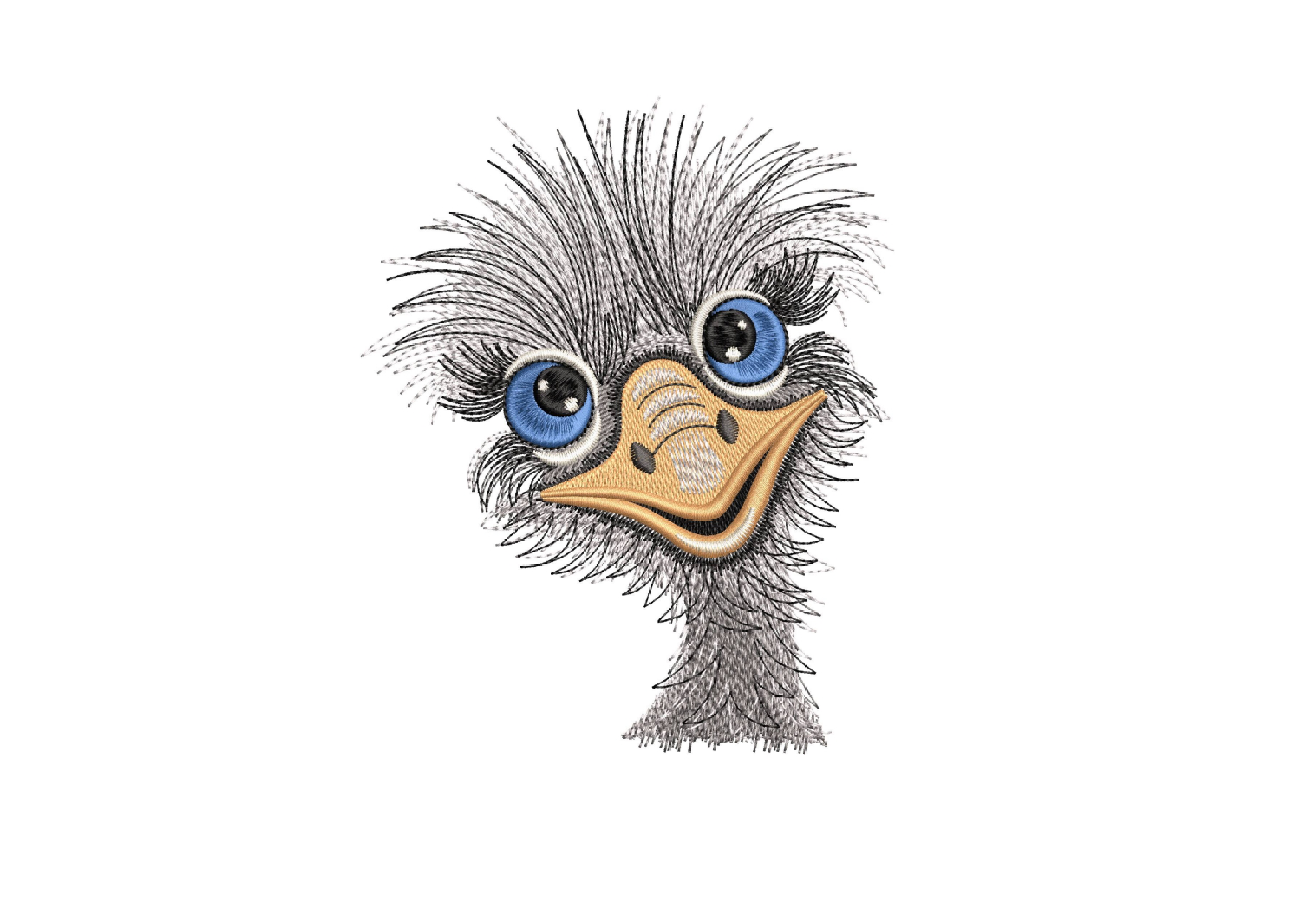 Ostrich