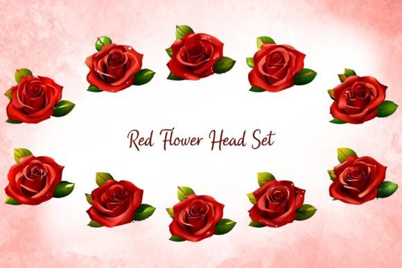Red Carnation Set Graphic by Picture Paradise · Creative Fabrica