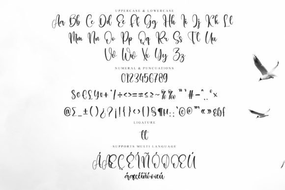 Alligator Font - Preview 5