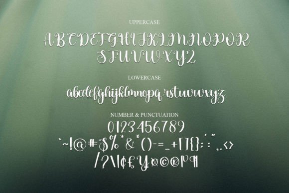 Copyright Font - Preview 4