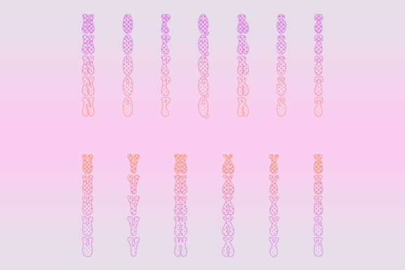 Funky Polka Font font preview - 2