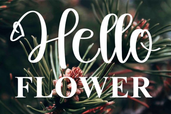 Mellow Font font preview - 2