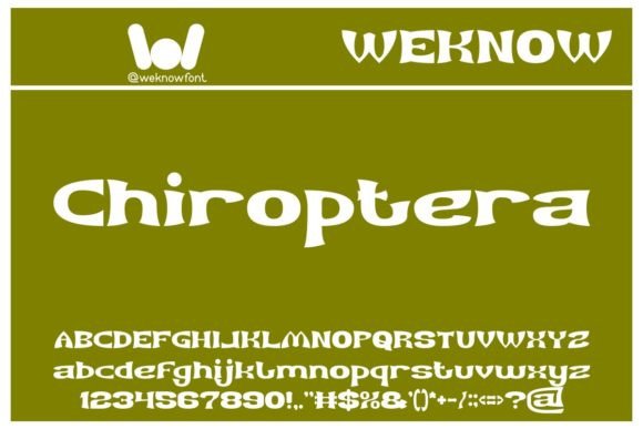 Archer Font - Preview 4