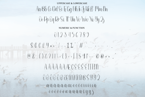 Migration Font PNG with transparent background - Preview 6