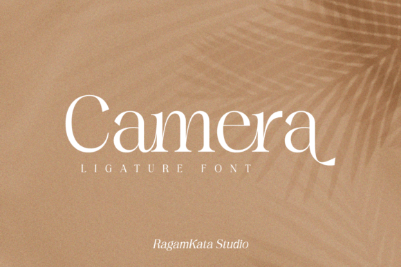 Eleanor Font - Preview 2
