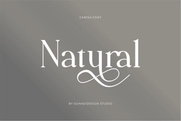 Carina Font - Preview 4