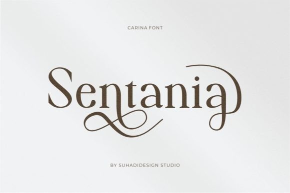 Carina Font - Preview 5