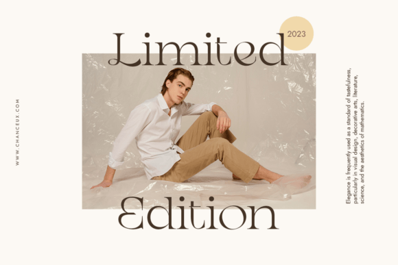 Chanceux Modern Stylish Serif Font - Preview 1