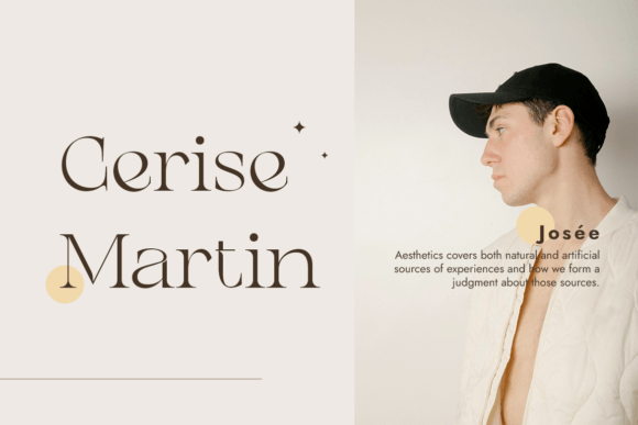 Chanceux Modern Stylish Serif Font - Preview 2
