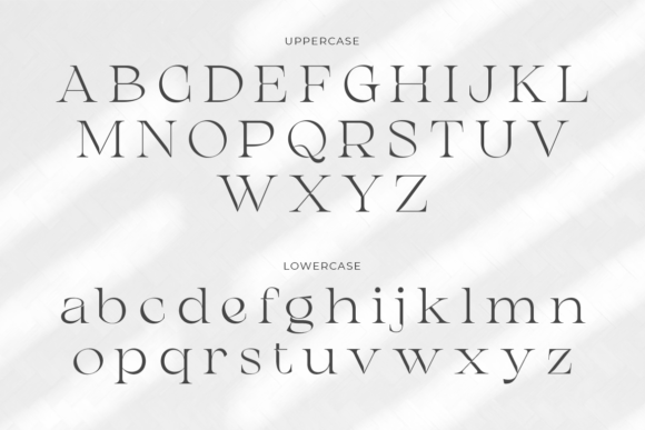 Chanceux Modern Stylish Serif Font - Preview 5