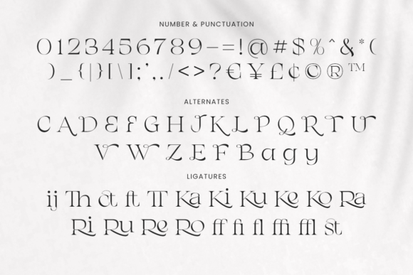 Chanceux Modern Stylish Serif Font - Preview 6