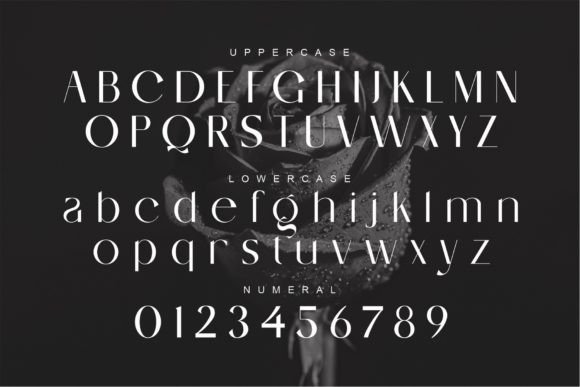 Serling Font PNG with transparent background - Preview 6