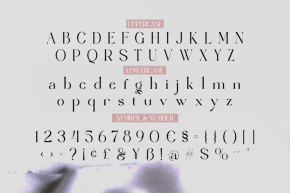 Angrela Font - Preview 6